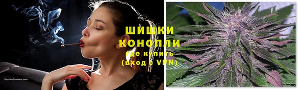 МДПВ Гусиноозёрск