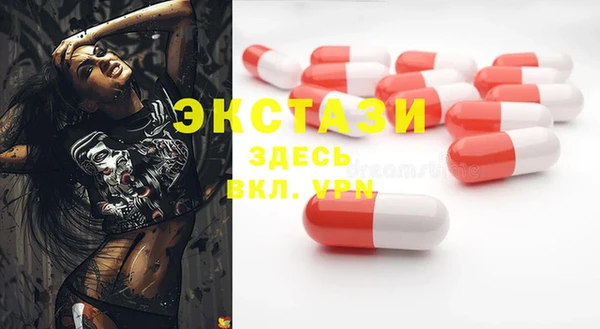 хмурый Гусь-Хрустальный