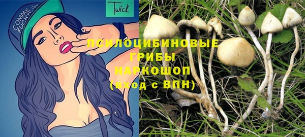 МДМА Гусев