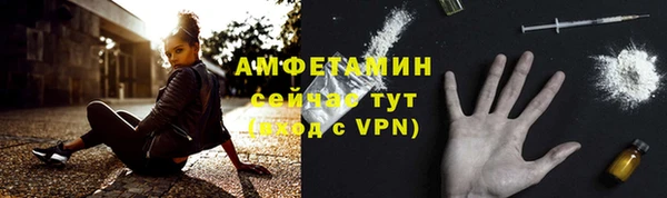 хмурый Гусь-Хрустальный