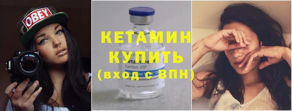 хмурый Гусь-Хрустальный