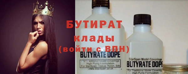 хмурый Гусь-Хрустальный