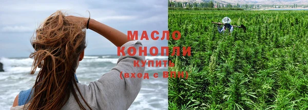 хмурый Гусь-Хрустальный