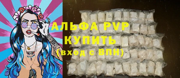 хмурый Гусь-Хрустальный