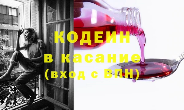 хмурый Гусь-Хрустальный