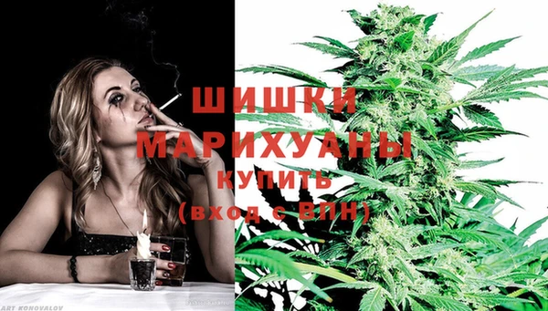 хмурый Гусь-Хрустальный