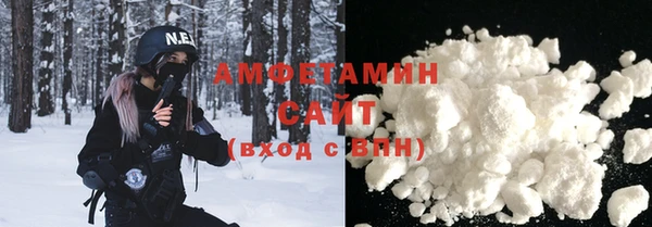 хмурый Гусь-Хрустальный