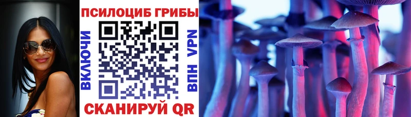 купить наркоту  Переславль-Залесский  Галлюциногенные грибы Cubensis 